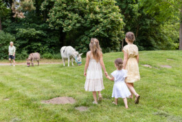 Familienfotografie Brandenburg